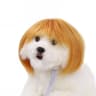 Golden Qi bangs