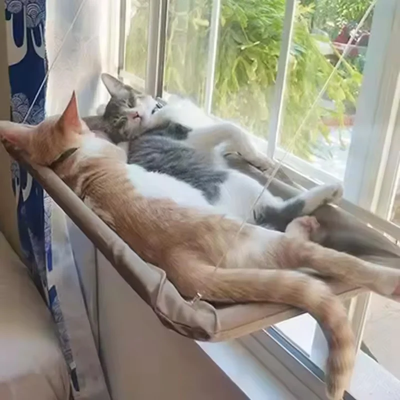 Hamaca de Ventana con Ventosas para Gatos