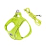 Fluorescent Yellow