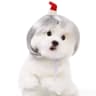 Silver Christmas hat