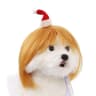 Golden Christmas hat