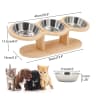 3 tazones para gatos