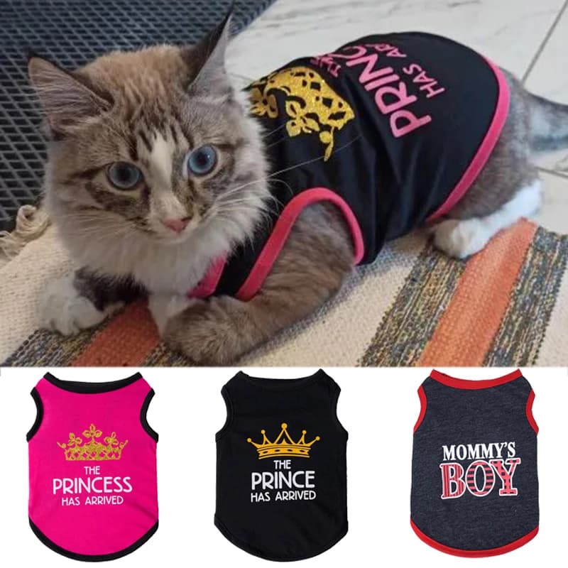 Camiseta de Algodón de Verano para Gatos — Chaleco Transpirable