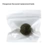 Polygonum officinali