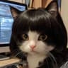 Black Qi Bangs