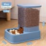 Blue Feeder